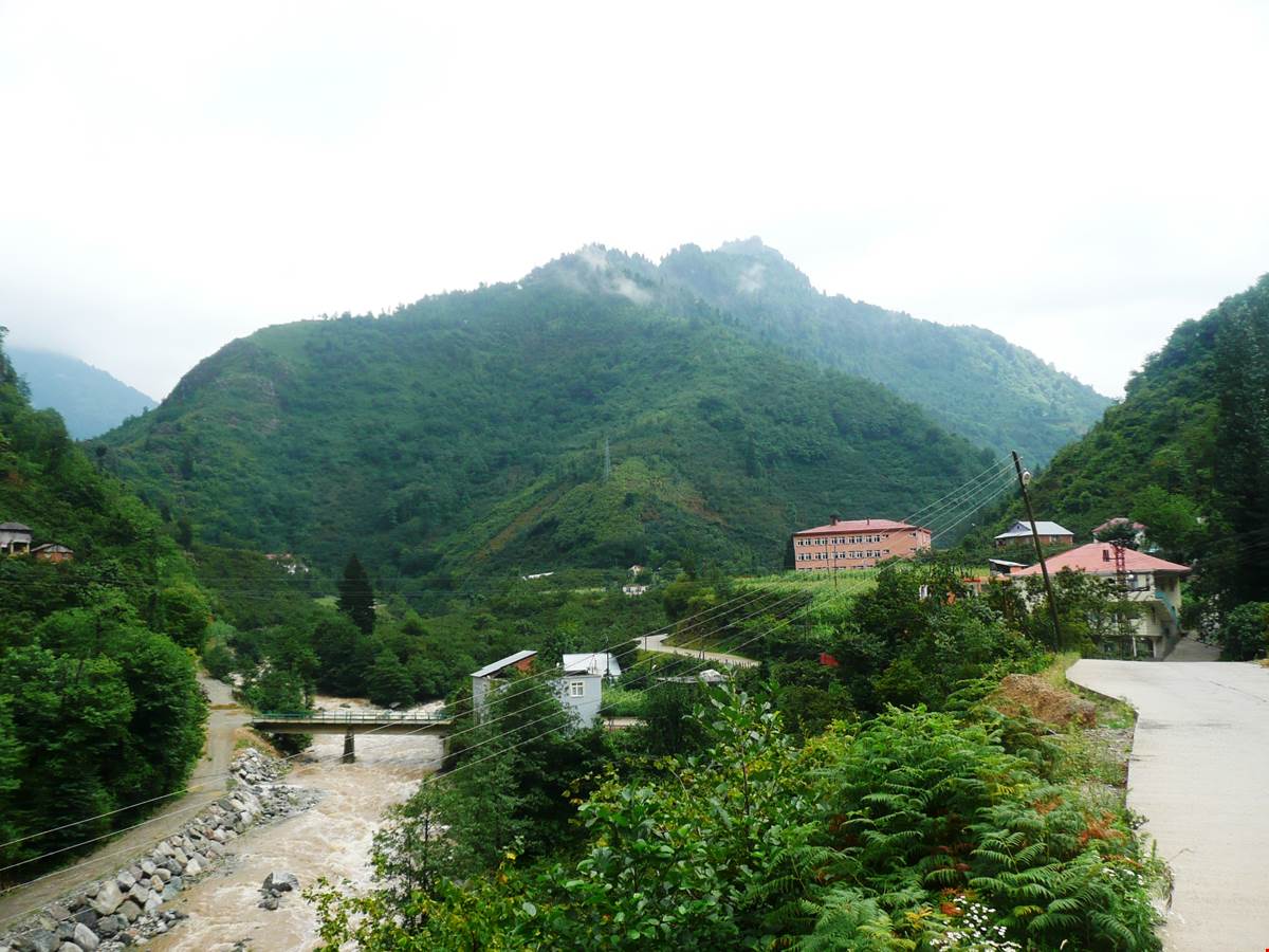 Giresun ili anak lesi